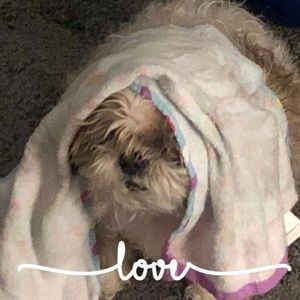 Meet your Posher, Maureen